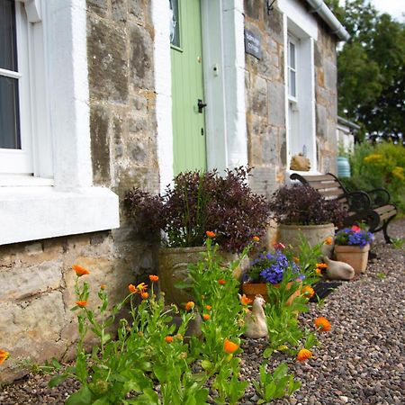 Balmungo Cottage B&B St Andrews Dış mekan fotoğraf