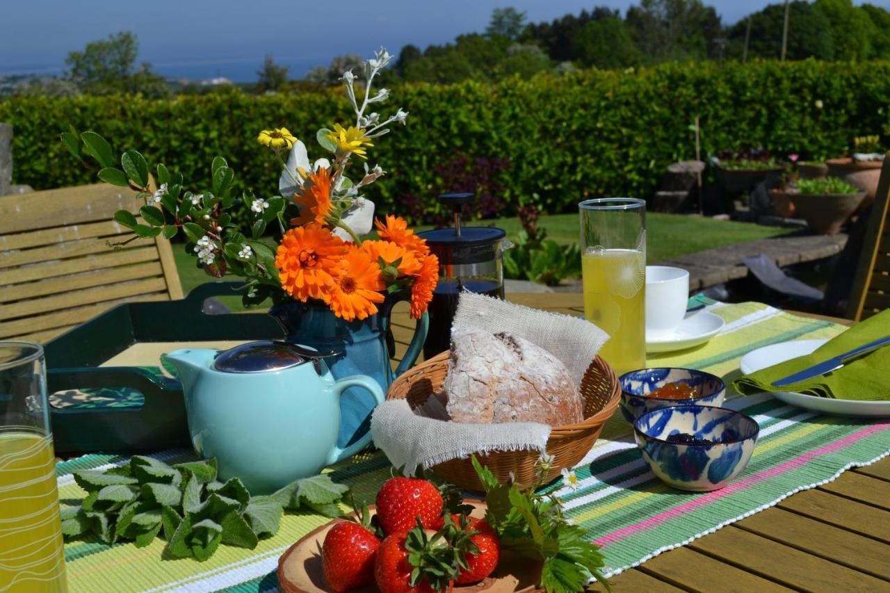 Balmungo Cottage B&B St Andrews Dış mekan fotoğraf