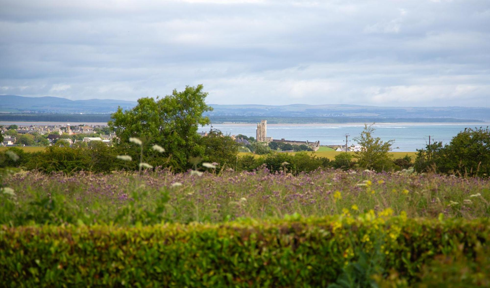 Balmungo Cottage B&B St Andrews Dış mekan fotoğraf