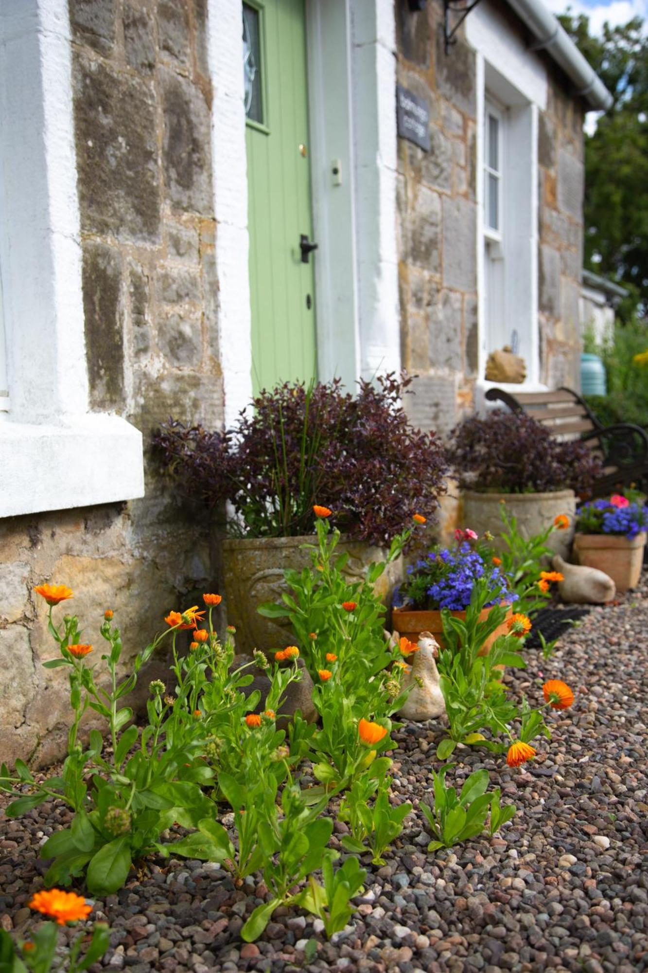 Balmungo Cottage B&B St Andrews Dış mekan fotoğraf