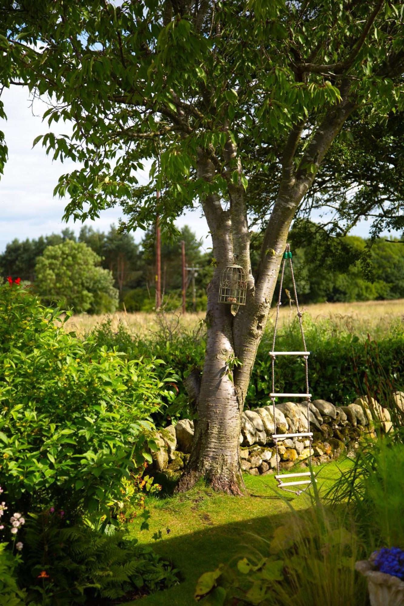 Balmungo Cottage B&B St Andrews Dış mekan fotoğraf