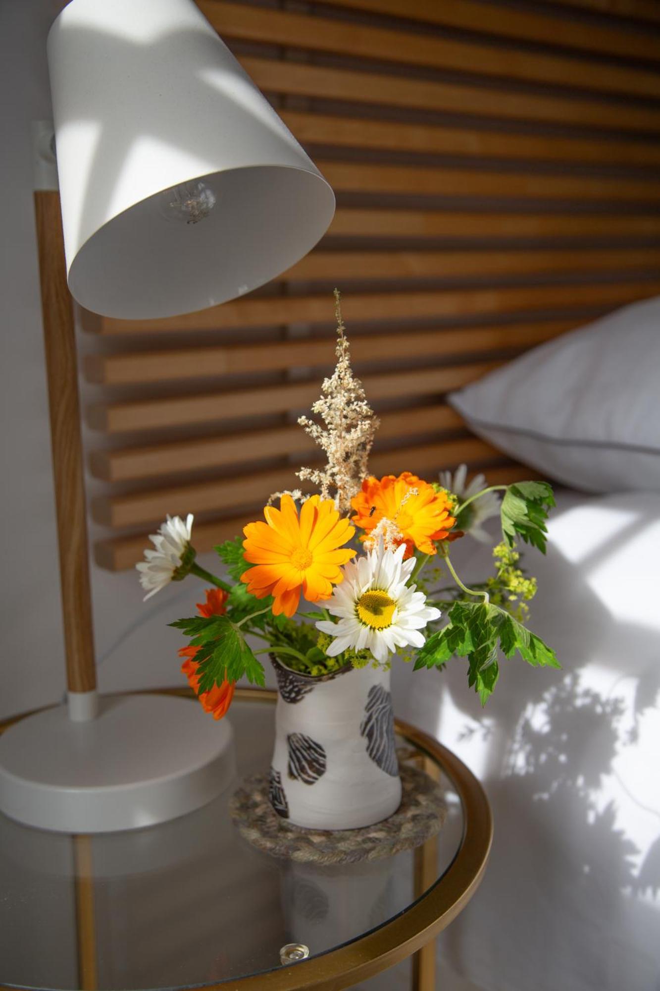 Balmungo Cottage B&B St Andrews Dış mekan fotoğraf